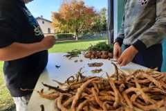 WhatsApp-Image-2022-10-14-at-12.35.34